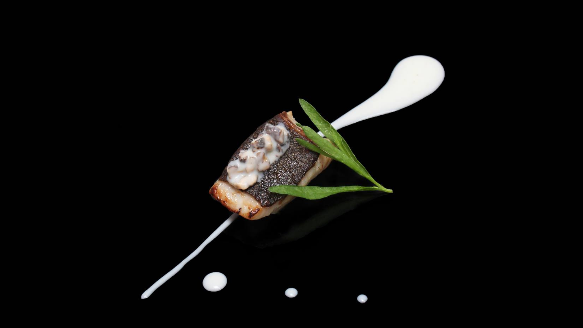 NOIR · Dining in the Dark